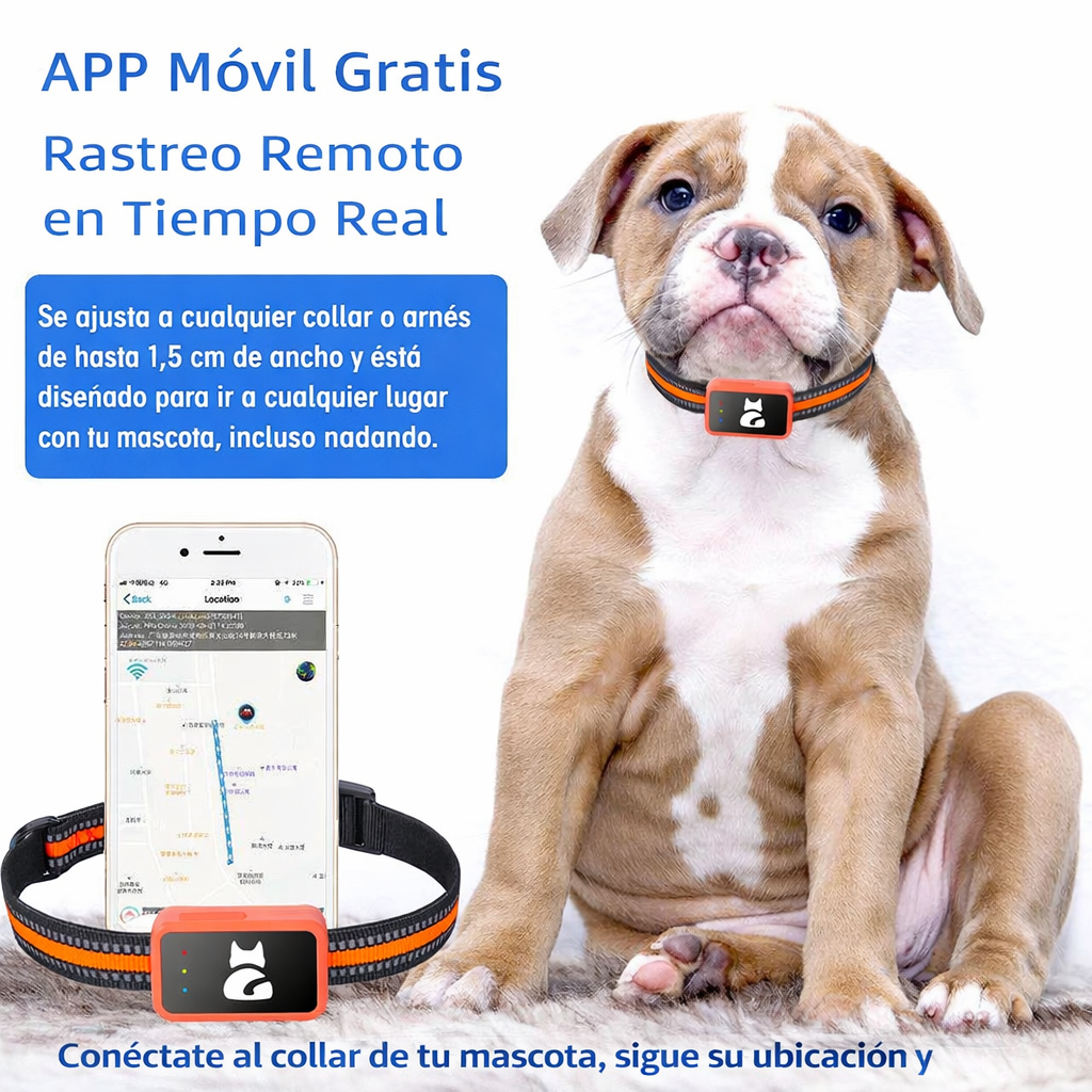 🐾 Collar GPS 4G para Mascotas – Rastreador Inteligente en Tiempo Real con App, Geocerca y Monitoreo de Actividad