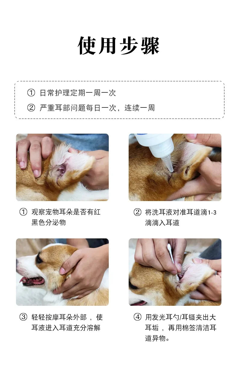Malassezia otitis medios para gatos y perros picazón, enrojecimiento, hinchazón y gotas antiinflamativas para los oídos