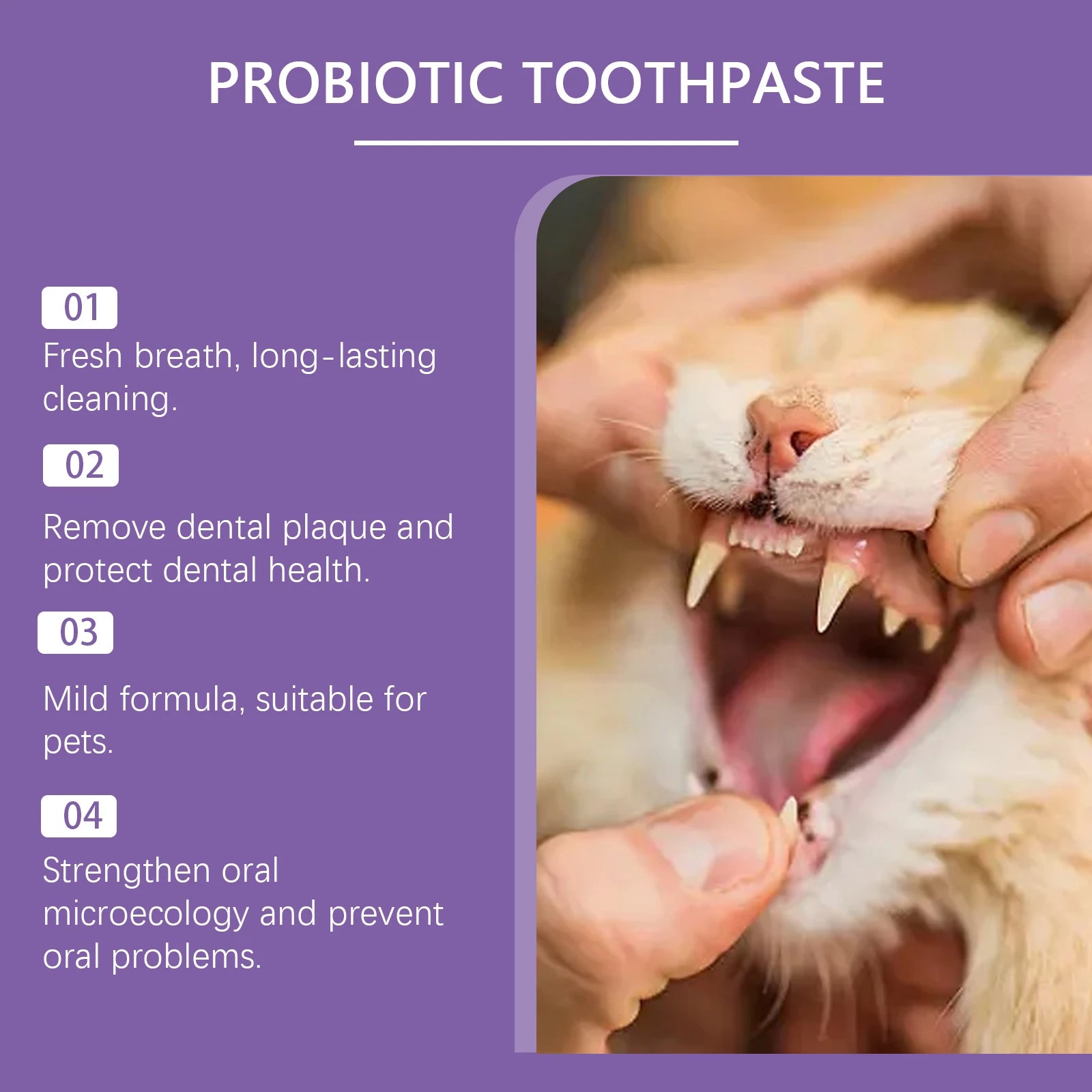 Pasta Dental Probiótica para Perros y Gatos – Elimina Sarro, Refresca el Aliento y Cuida Encías (100g)