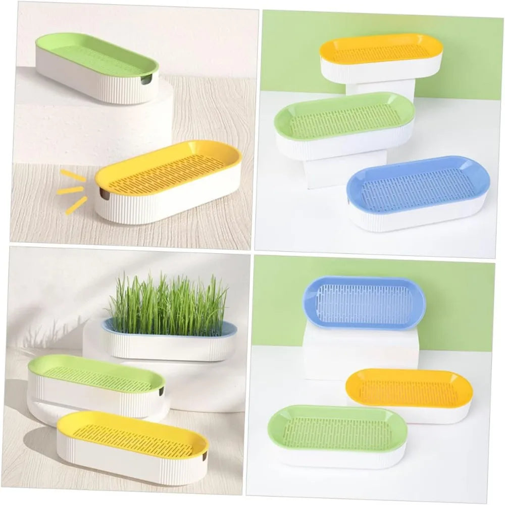 🌱 Bandeja Hidropónica para Cultivo de Hierba para Gatos Ayuda a la Digestión y Reduce Bolas de Pelo | Fácil Cultivo en Casa