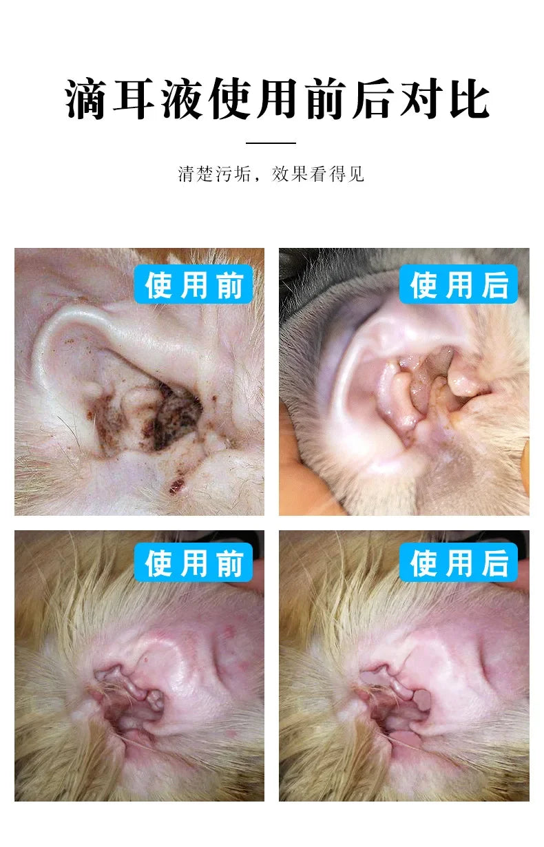 Malassezia otitis medios para gatos y perros picazón, enrojecimiento, hinchazón y gotas antiinflamativas para los oídos