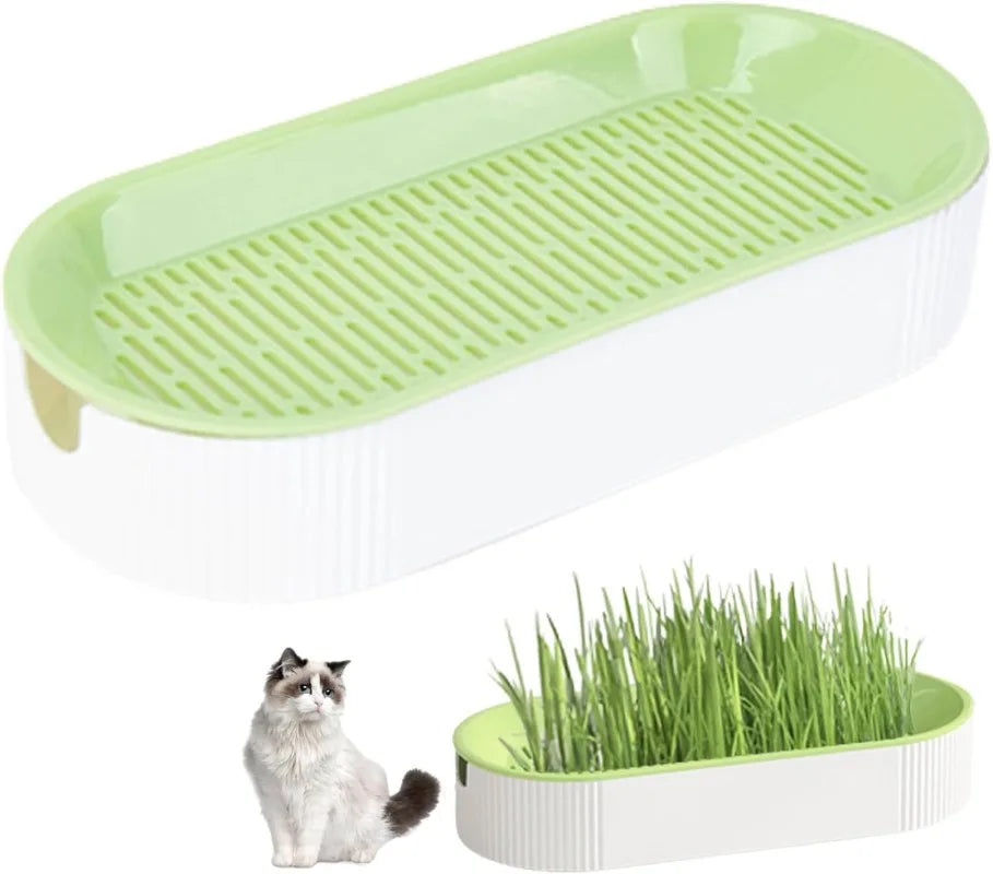 🌱 Bandeja Hidropónica para Cultivo de Hierba para Gatos Ayuda a la Digestión y Reduce Bolas de Pelo | Fácil Cultivo en Casa