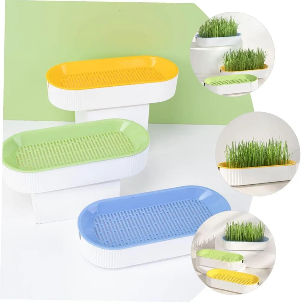 🌱 Bandeja Hidropónica para Cultivo de Hierba para Gatos Ayuda a la Digestión y Reduce Bolas de Pelo | Fácil Cultivo en Casa