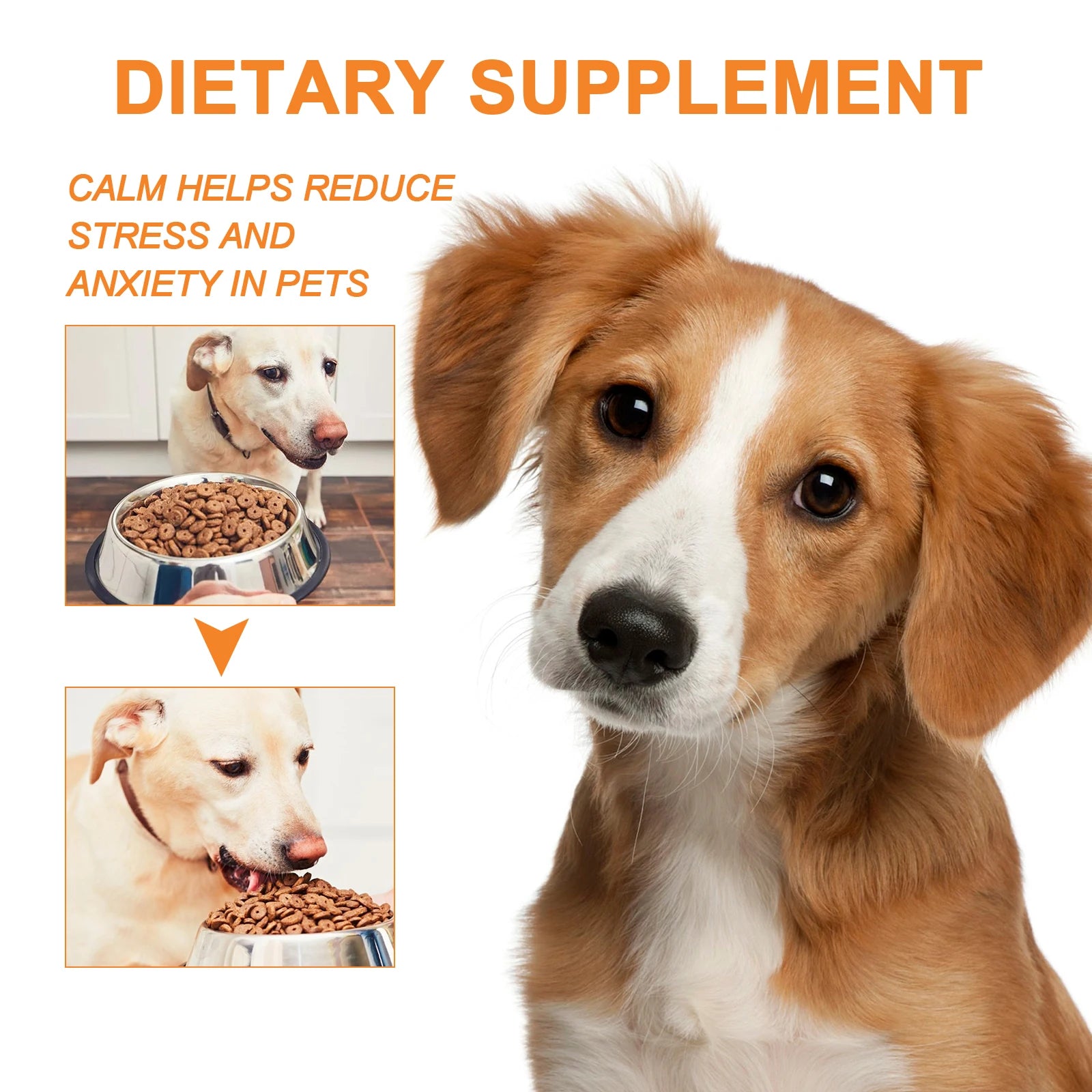 Aceite Calmante de Semillas de Cáñamo para Mascotas – Reduce Estrés y Ansiedad en Perros y Gatos