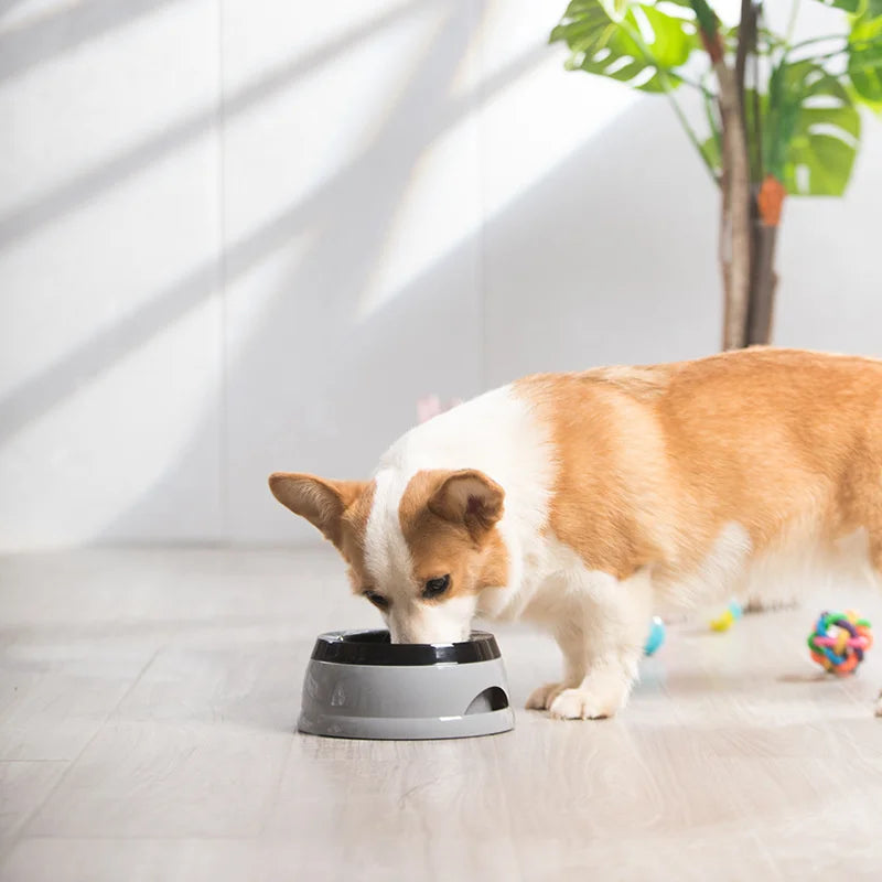 Cuenco Flotante Antiderrames para Perros y Gatos – Bebedero Portátil con Tecnología Antisalpicaduras
