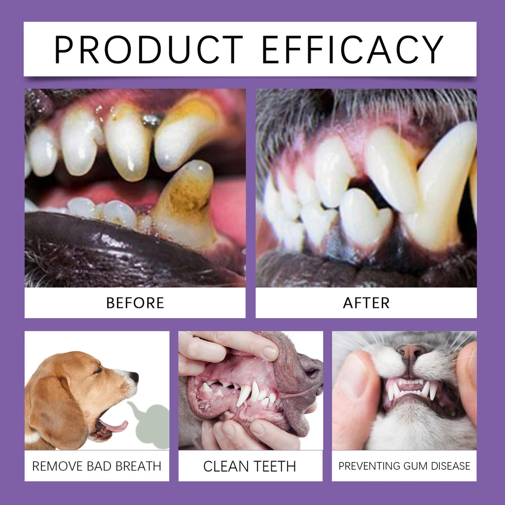 Pasta Dental Probiótica para Perros y Gatos – Elimina Sarro, Refresca el Aliento y Cuida Encías (100g)
