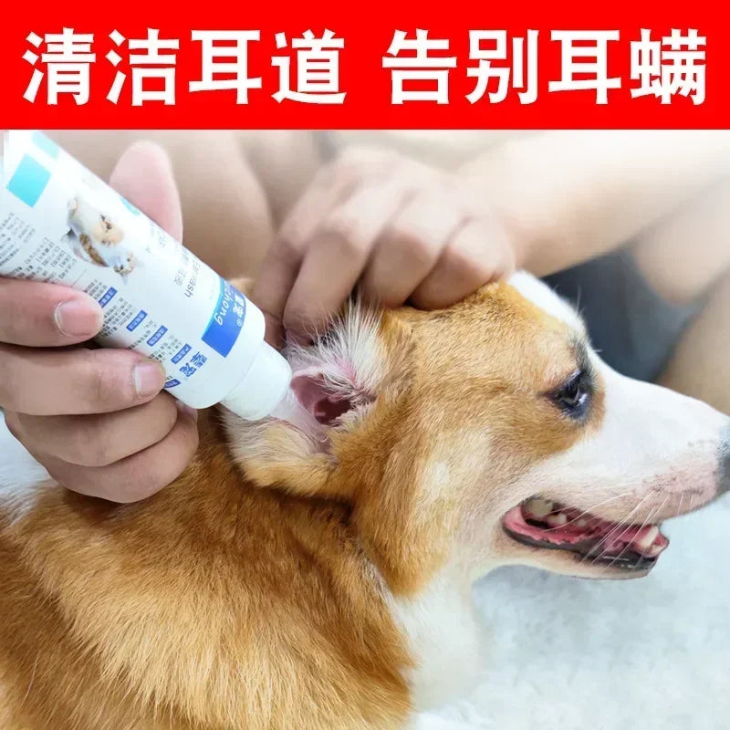 Malassezia otitis medios para gatos y perros picazón, enrojecimiento, hinchazón y gotas antiinflamativas para los oídos