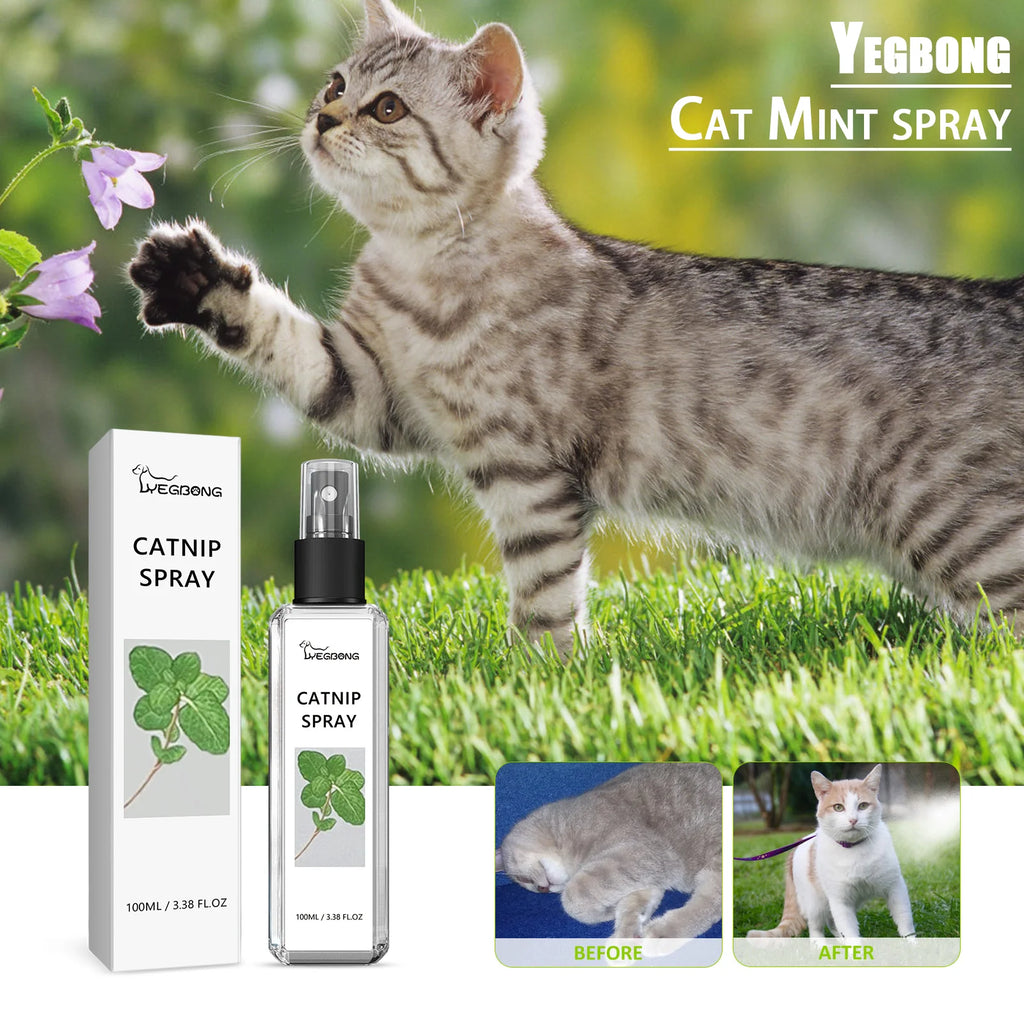 Spray de Hierba Gatera para Gatos 100 ml – Calmante Natural, Entrenamiento y Diversión con Menta