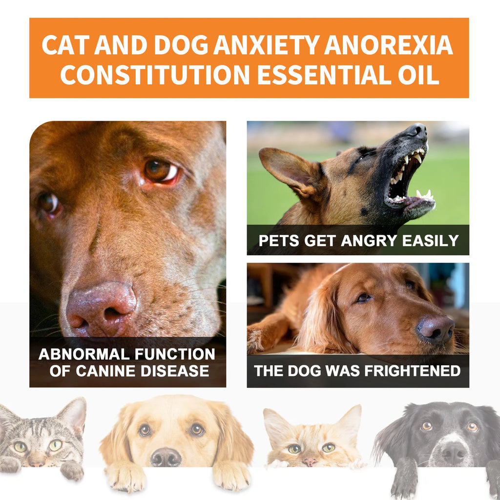 Aceite Calmante de Semillas de Cáñamo para Mascotas – Reduce Estrés y Ansiedad en Perros y Gatos