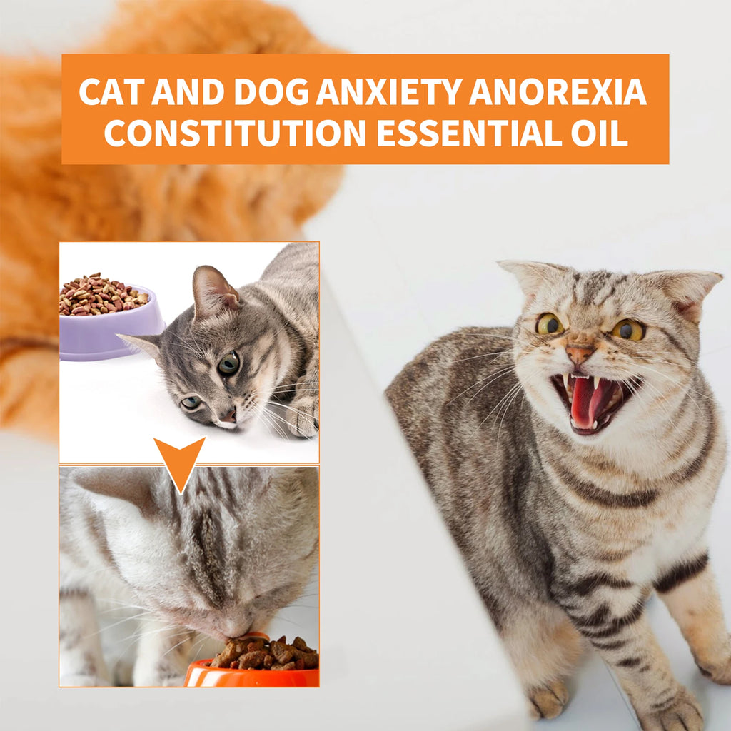 Aceite Calmante de Semillas de Cáñamo para Mascotas – Reduce Estrés y Ansiedad en Perros y Gatos