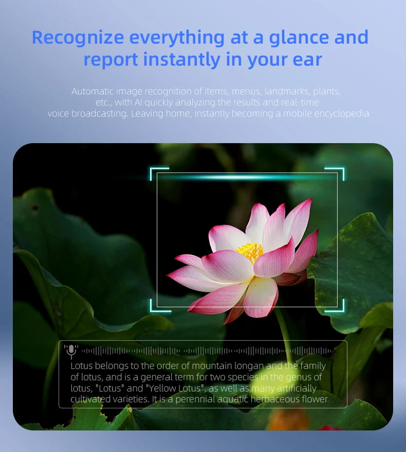 Gafas inteligentes AI, traducción AI, cámara HD de 8MP, imagen de disparo 4K, grabación de conversación, escucha de música, novedad de 2026