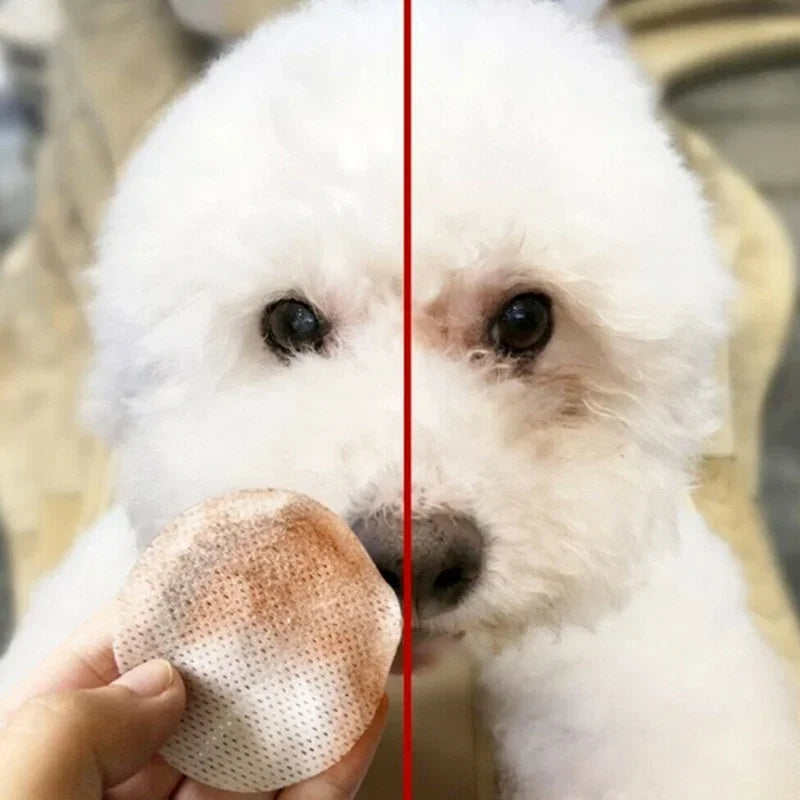 Toallitas de Limpieza para Ojos de Mascotas - Quitamanchas Suaves para Perros y Gatos (130 pcs)
