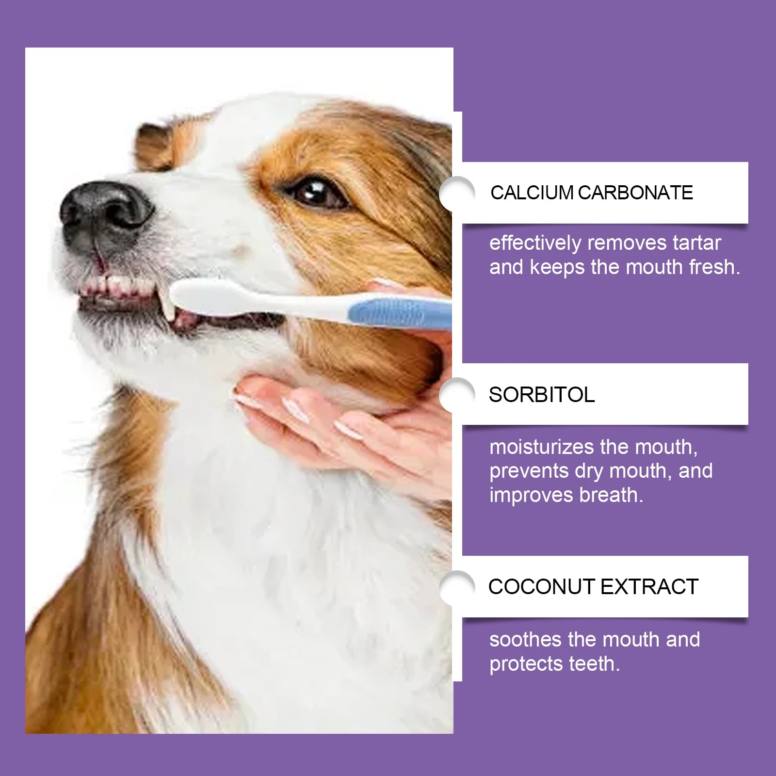 Pasta Dental Probiótica para Perros y Gatos – Elimina Sarro, Refresca el Aliento y Cuida Encías (100g)