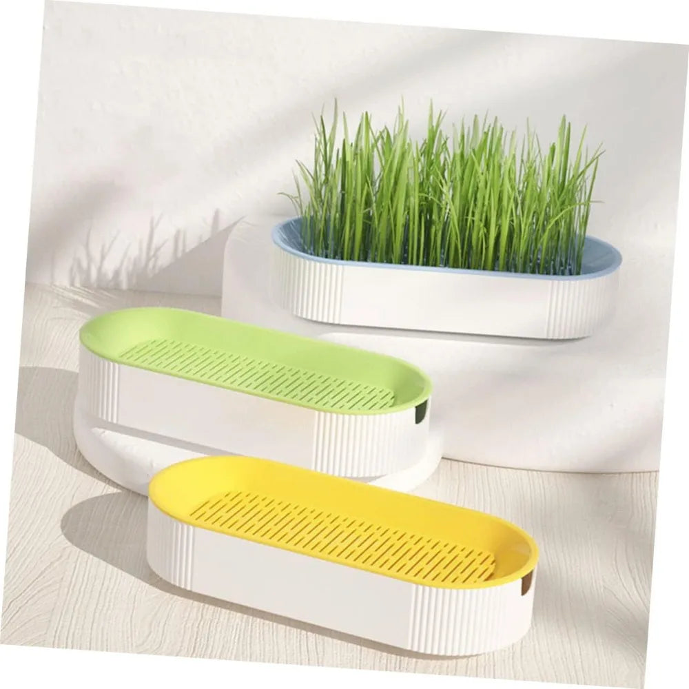 🌱 Bandeja Hidropónica para Cultivo de Hierba para Gatos Ayuda a la Digestión y Reduce Bolas de Pelo | Fácil Cultivo en Casa