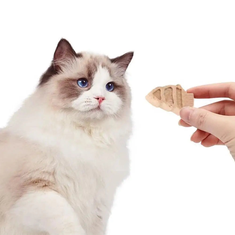🐾 Snack Funcional para Gatos Anti-Bolas de Pelo Hierba de Gato + Aceite de Pescado y 12 Vitaminas | Digestión, Dientes y Pelaje Saludable