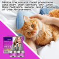 Recambio Calmante para Gatos 30 Días – Difusor de Feromonas Antiestrés (Pack 3 × 48 ml)