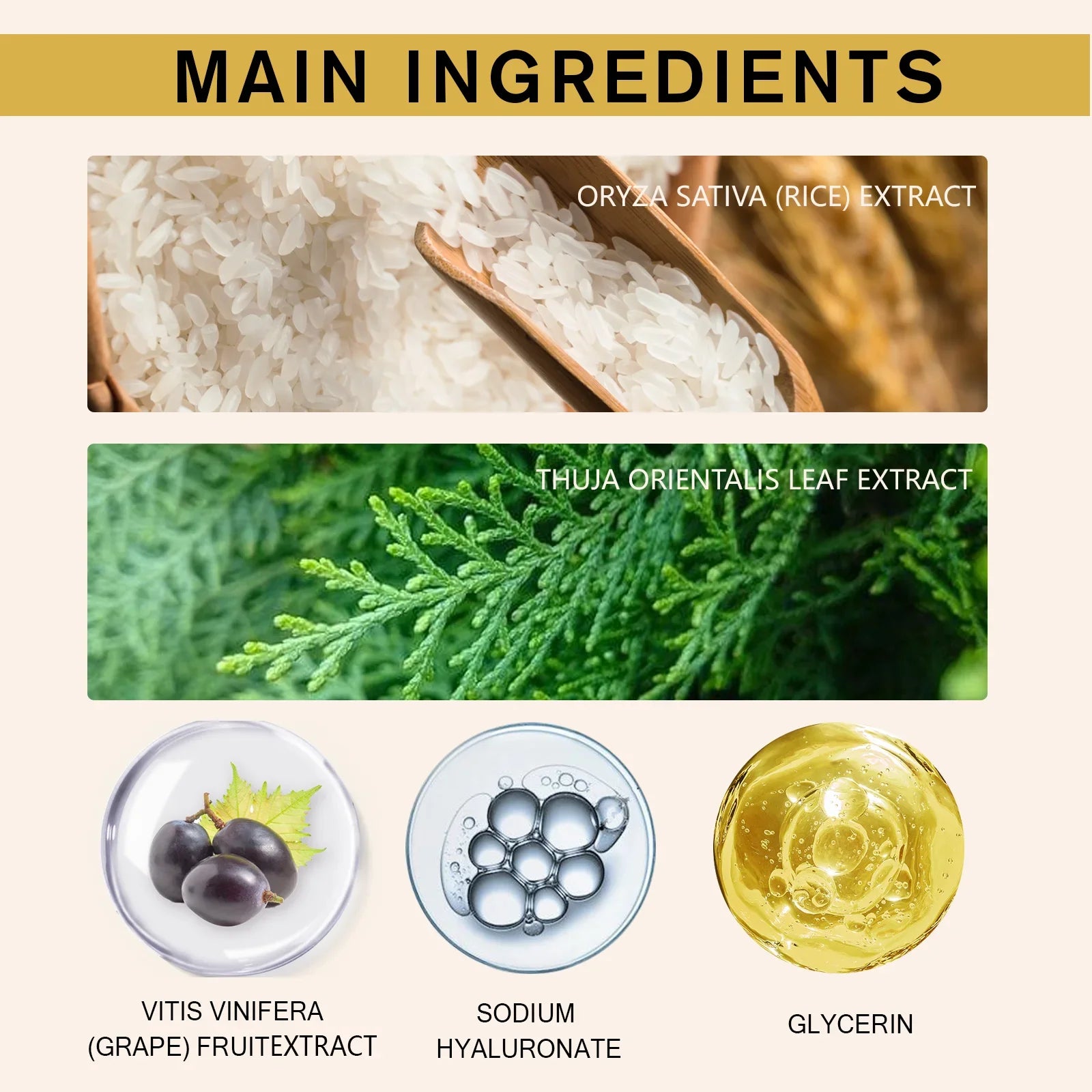 Crema Hidratante de Arroz Coreano - Antiedad con Ácido Hialurónico 50g