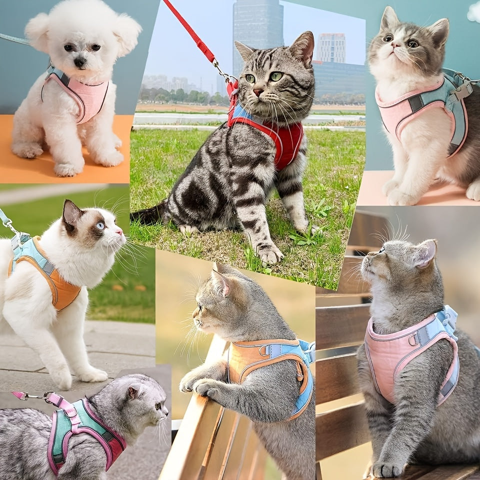 Arnés Antiescape para Gatos con Correa Ajustable | Chaleco Seguro y Cómodo para Paseos al Aire Libre