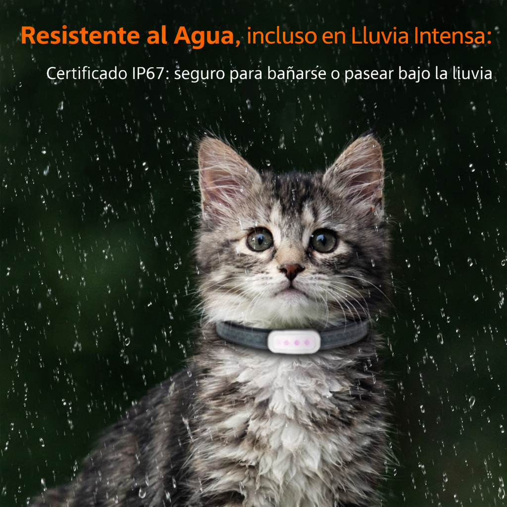 GPS 4G para Mascotas con Alerta de Perímetro | Rastreo en Tiempo Real, APP y Sin Suscripción Mensual